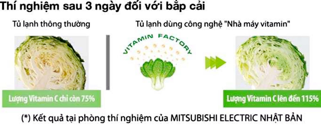 Cách bảo quản thực phẩm trong ngăn mát như thế nào là hiệu quả