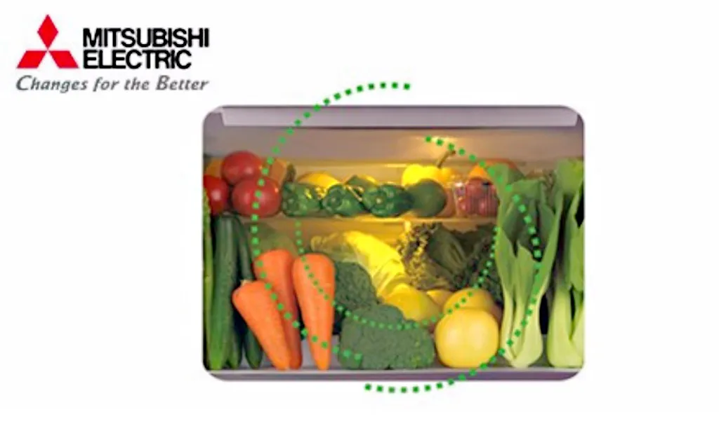 How would you keep the food fresh in the refrigerator?